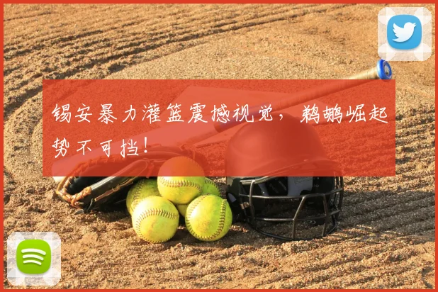 锡安暴力灌篮震撼视觉，鹈鹕崛起势不可挡！